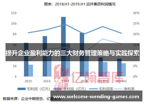 提升企业盈利能力的三大财务管理策略与实践探索