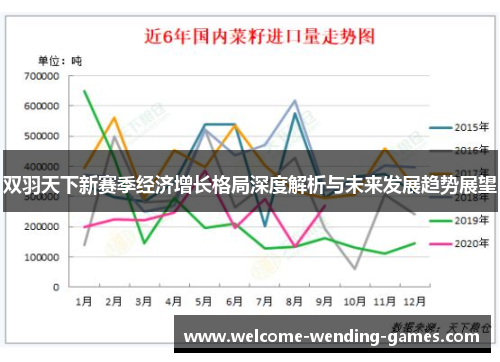 双羽天下新赛季经济增长格局深度解析与未来发展趋势展望