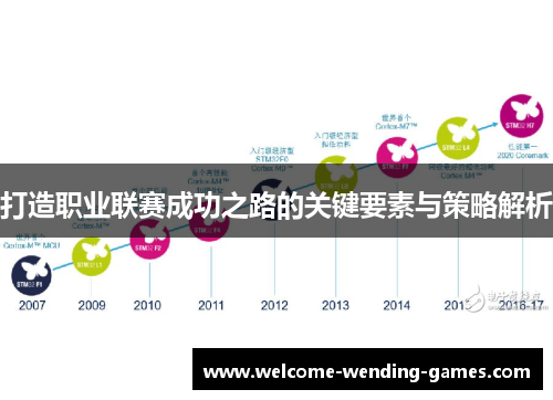 打造职业联赛成功之路的关键要素与策略解析