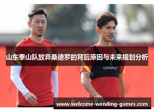 山东泰山队放弃桑德罗的背后原因与未来规划分析