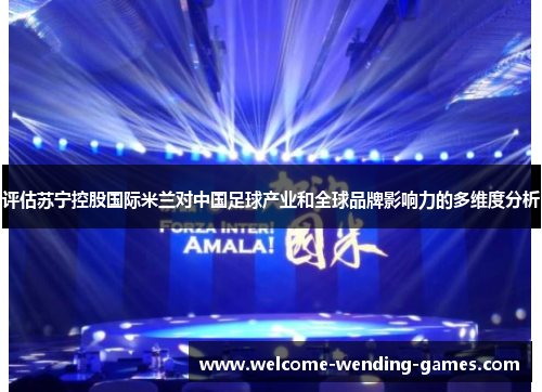 评估苏宁控股国际米兰对中国足球产业和全球品牌影响力的多维度分析
