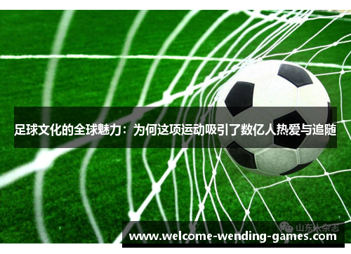 足球文化的全球魅力：为何这项运动吸引了数亿人热爱与追随