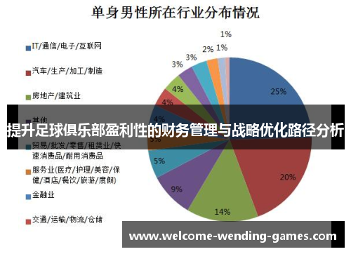 提升足球俱乐部盈利性的财务管理与战略优化路径分析 提升足球俱乐部盈利性的财务管理与战略优化路径分析