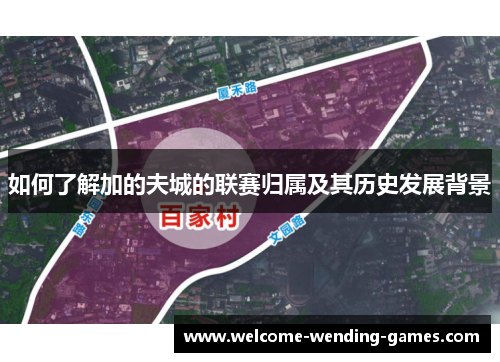 如何了解加的夫城的联赛归属及其历史发展背景 如何了解加的夫城的联赛归属及其历史发展背景