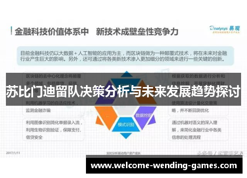 苏比门迪留队决策分析与未来发展趋势探讨