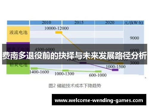 费南多退役前的抉择与未来发展路径分析 费南多退役前的抉择与未来发展路径分析