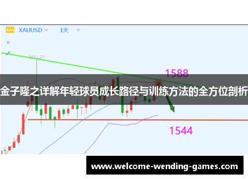 金子隆之详解年轻球员成长路径与训练方法的全方位剖析