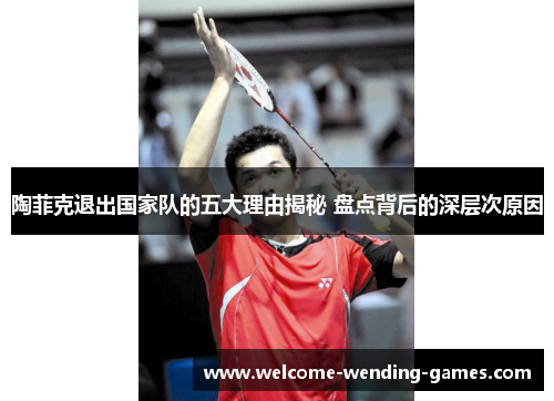 陶菲克退出国家队的五大理由揭秘 盘点背后的深层次原因